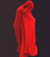 Covered Lady - From exhibitions page